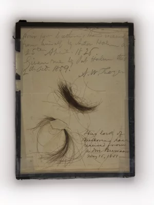 Beethoven Hair